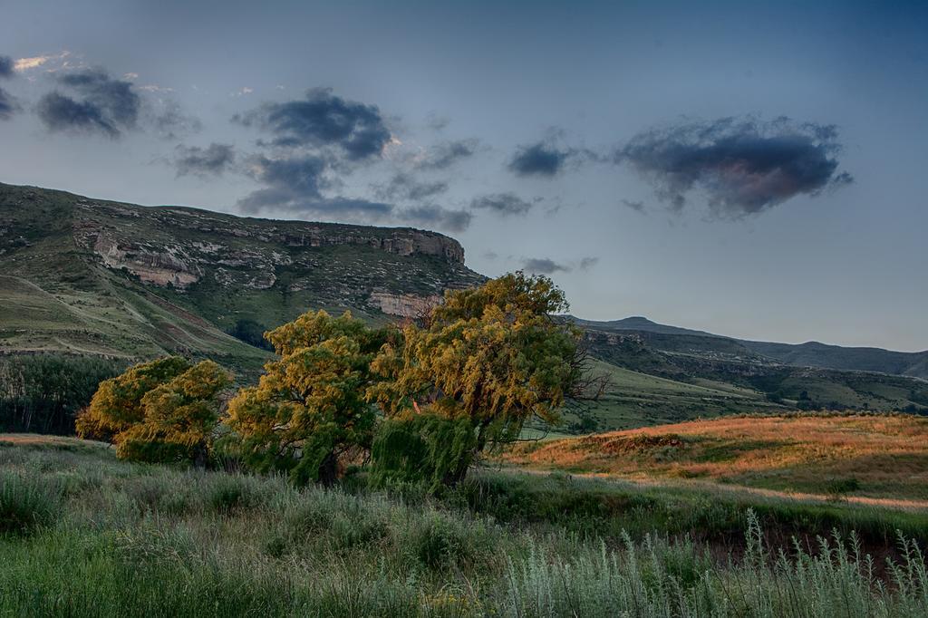Vila De Molen Farm Clarens Exteriér fotografie